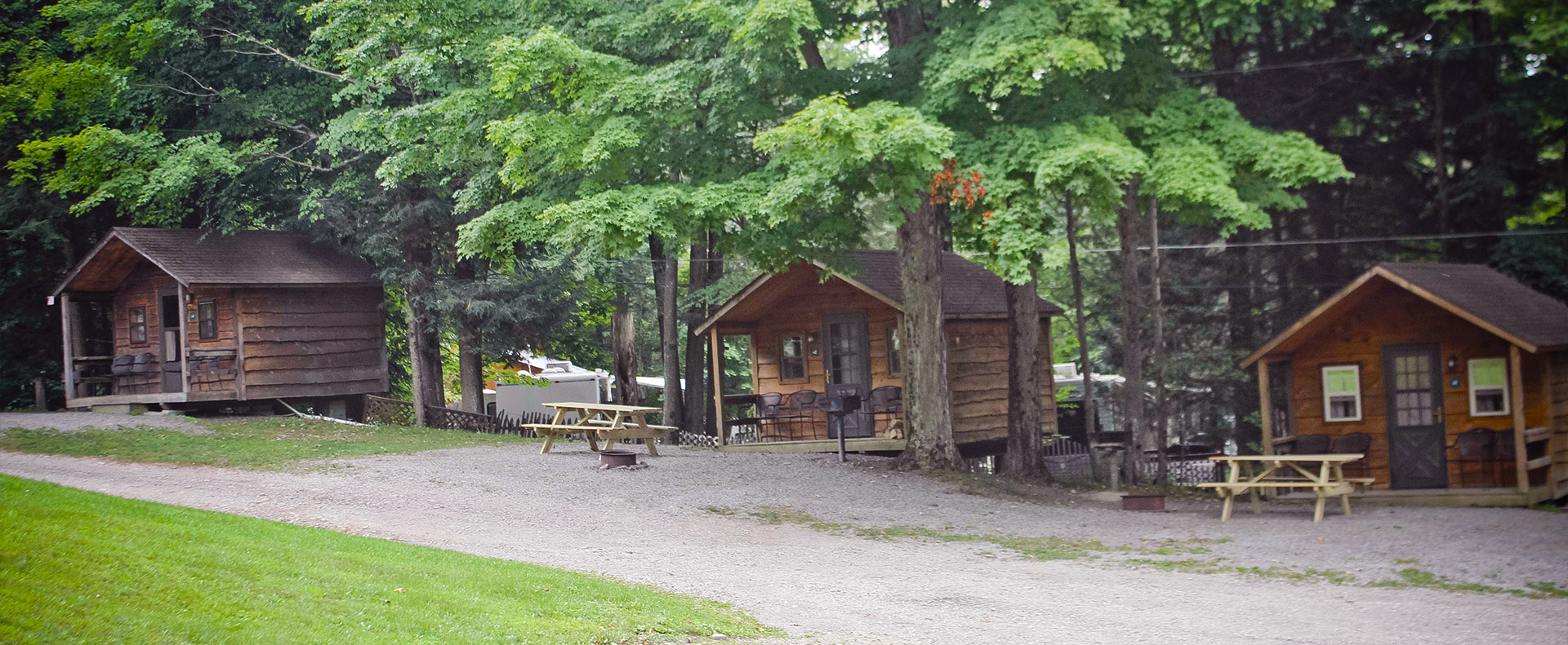 Escape To Paradise: Pennsylvania Shore Forest Campground